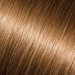 Light Chestnut Brown (#8)