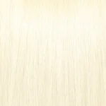 #1001 Platinum Blonde